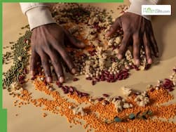 5 protein-rich beans you should start eating today for better health and nutrition