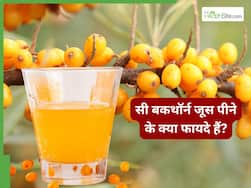 सी बकथॉर्न जूस पीने के क्या फायदे हैं? हिमालयन बेरी के नाम से भी है मशहूर