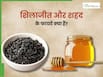 शिलाजीत और शहद खाने से क्या होता है? जानें, किन 5 समस्याओं में है फायदेमंद