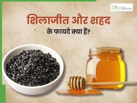शिलाजीत और शहद खाने से क्या होता है? जानें, किन 5 समस्याओं में है फायदेमंद