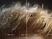 Can hair grow in 56 days? New research reveals what science says