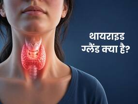 थायराइड ग्लैंड क्या है? जानें इसके बारे में सबकुछ थायराइड ग्लैंड क्या है? जानें इसके बारे में सबकुछ