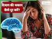 दिमाग को खुश और मजबूत रखते हैं ये 5 न्यूट्रिएंट्स, सभी को करने चाहिए डाइट में शामिल