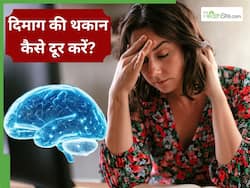 दिमाग को खुश और मजबूत रखते हैं ये 5 न्यूट्रिएंट्स, सभी को करने चाहिए डाइट में शामिल