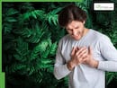 Top 10 Medicinal leaves that can help lower high cholesterol level and clean clogged arteries