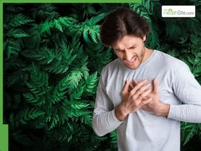 Top 10 Medicinal leaves that can help lower high cholesterol level and clean clogged arteries