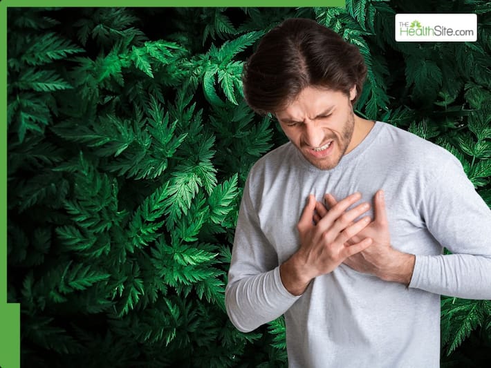 Top 10 Medicinal leaves that can help lower high cholesterol level and clean clogged arteries