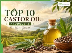 Top 10 countries in the world that produce the largest amount of castor oil for hair growth