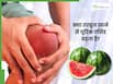 क्या तरबूज खाने से यूरिक एसिड बढ़ता है?