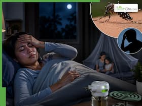 World Malaria Day 2026: Why malaria symptoms worsen at night, warning signs to watch and prevention tips World Malaria Day 2026: Why malaria symptoms worsen at night, warning signs to watch and prevention tips