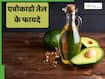 एवोकाडो तेल सेहत के लिए होता है फायदेमंद, कुकिंग के लिए करें इस्तेमाल