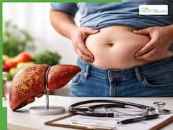 World Liver Day 2026: How belly fat silently damages your liver and raises fatty liver risk in India
