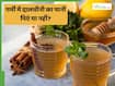 क्या गर्मियों में दालचीनी का पानी पी सकते हैं? जानें एक्सपर्ट की राय