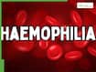 World Haemophilia Day 2026: Is haemophilia hereditary? Understanding x-linked inheritance, symptoms, and risks for children