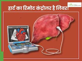 लिवर+हार्ट = शरीर का रिमोट कंट्रोल, सीनियर डॉक्टर से जानिए जानें लिवर+हार्ट = शरीर का रिमोट कंट्रोल, सीनियर डॉक्टर से जानिए जानें