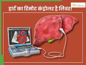 लिवर+हार्ट = शरीर का रिमोट कंट्रोल, सीनियर डॉक्टर से जानिए जानें