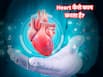 हार्ट क्या और कैसे काम करता है? जानें Heart Health के बारे में सबकुछ