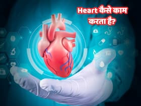 हार्ट क्या और कैसे काम करता है? जानें Heart Health के बारे में सबकुछ