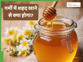 क्या गर्मियों में शहद खा सकते हैं? जानें इसे खाने के फायदे-नुकसान क्या गर्मियों में शहद खा सकते हैं? जानें इसे खाने के फायदे-नुकसान