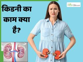 किडनी कैसे और क्या काम करती है? जानें इसके बारे में