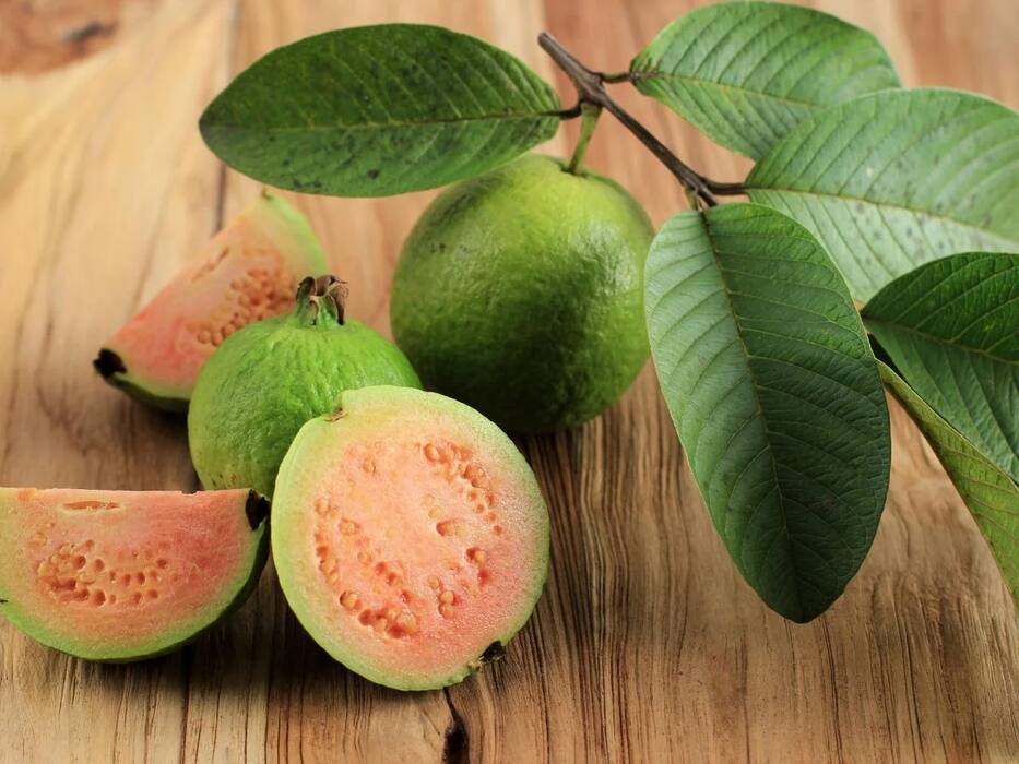 Kiwi vs Guava: क्या विदेशी फ्रूट खाना सिर्फ एक ट्रेंड है या फिर सच में इससे ज्यादा फायदे मिलते हैं