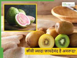 Kiwi vs Guava: क्या विदेशी फ्रूट खाना सिर्फ एक ट्रेंड है या फिर सच में इससे ज्यादा फायदे मिलते हैं