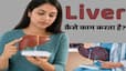 techlusive news