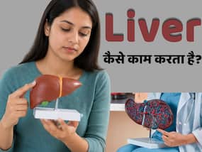 लिवर क्या और कैसे काम करता है?