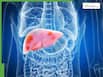 World Liver Day 2026: Alcohol vs lifestyle, what’s really harming your liver more?