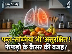 अब फल-सब्जियां भी सेफ नहीं! फेफड़ों के कैंसर का बन रहे हैं कारण, नई स्टडी में चौंकाने वाला खुलासा