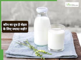 Raw Milk vs Packaged Milk: कौन सा दूध सेहत के लिए ज्यादा फायदेमंद है? Raw Milk vs Packaged Milk: कौन सा दूध सेहत के लिए ज्यादा फायदेमंद है?