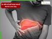 World Liver Day 2026: 19 अप्रैल को मनाया जाता है वर्ल्ड लिवर डे, जानें इस दिन का इतिहास और महत्व