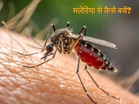 घर पर मलेरिया से बचाव के 5 आसान उपाय, रोजाना अपनाने से नहीं काटेगा एक भी मच्छर