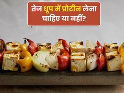 दोपहर की तेज धूप में प्रोटीन डाइट या हैवी मील क्यों नहीं लेनी चाहिए?
