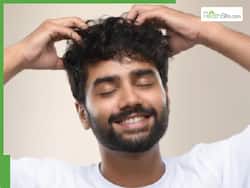 5 best hair growth oils to regrow hair in men