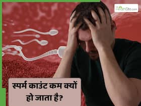 कुछ पुरुषों में स्पर्म काउंट कम क्यों होता है? जानें कारण कुछ पुरुषों में स्पर्म काउंट कम क्यों होता है? जानें कारण