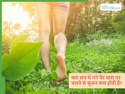 क्या सच में नंगे पैर घास पर चलना शरीर के अंदर की सूजन कम करता है? जानें Walking Barefoot के बारे में