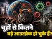 चूहों से दुनियाभर में फैलीं ये खतरनाक बीमारियां, करोड़ों की गई जान- जानें हर आउटब्रेक की कहानी डिटेल में