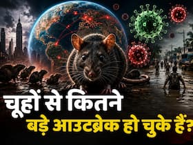 चूहों से दुनियाभर में फैलीं ये खतरनाक बीमारियां, करोड़ों की गई जान- जानें हर आउटब्रेक की कहानी डिटेल में