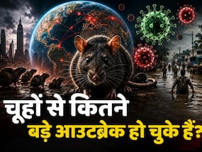 चूहों से दुनियाभर में फैली ये खतरनाक बीमारियां, करोड़ों की गई जान- जानें हर आउटब्रेक की कहानी डिटेल में