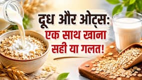 क्या दूध और ओट्स एक साथ खा सकते हैं? जानें इस पर क्या कहते हैं अलग-अलग डॉक्टर्स