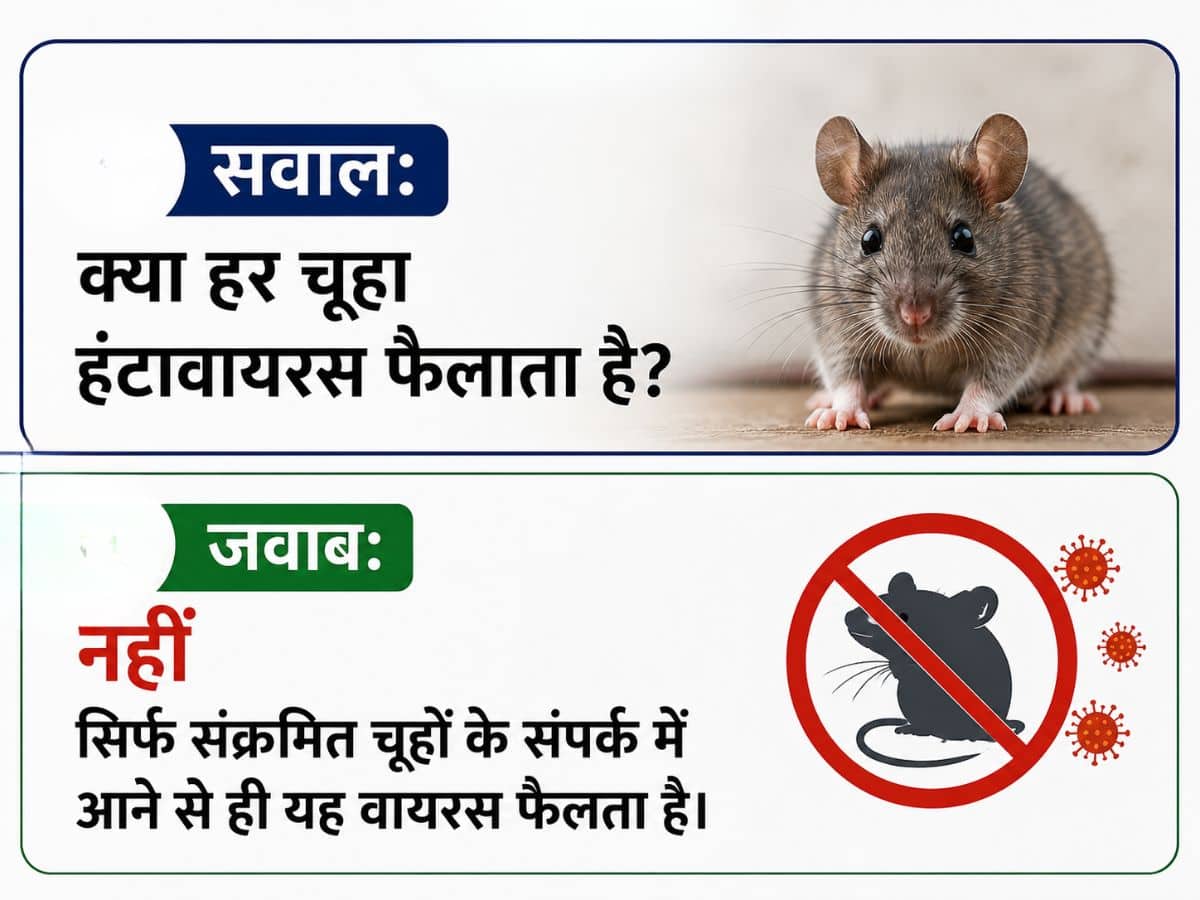 Hantavirus (image Source: ChatGPT)
