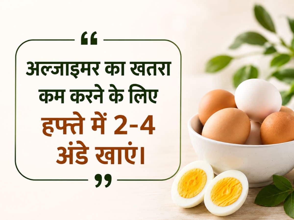eggs for alzheimer's disease