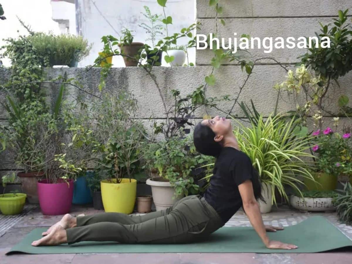 bhujangasana