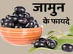 गर्मी में जामुन का सेवन करने से मिलेंगे ये 5 जबरदस्त फायदे, समर डाइट में करें शामिल
