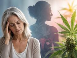 Cannabis use may worsen menopause symptoms in postmenopausal women, finds new US study