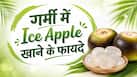 गर्मियों शरीर को अंदर से ठंडा रखता है आइस एप्पल, डाइटिशियन बता रही हैं इसकी न्यूट्रिशनल वैल्यू, फायदे- नुकसान