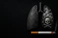 World No-Tobacco Day 2026: भारत में तंबाकू से 13 लाख मौतें, WHO की नई चेतावनी!