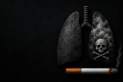 World No-Tobacco Day 2026: भारत में तंबाकू से 13 लाख मौतें, WHO की नई चेतावनी!