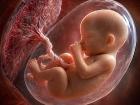 Researchers reveal children can develop taste preferences before birth: Easy strategies for parents